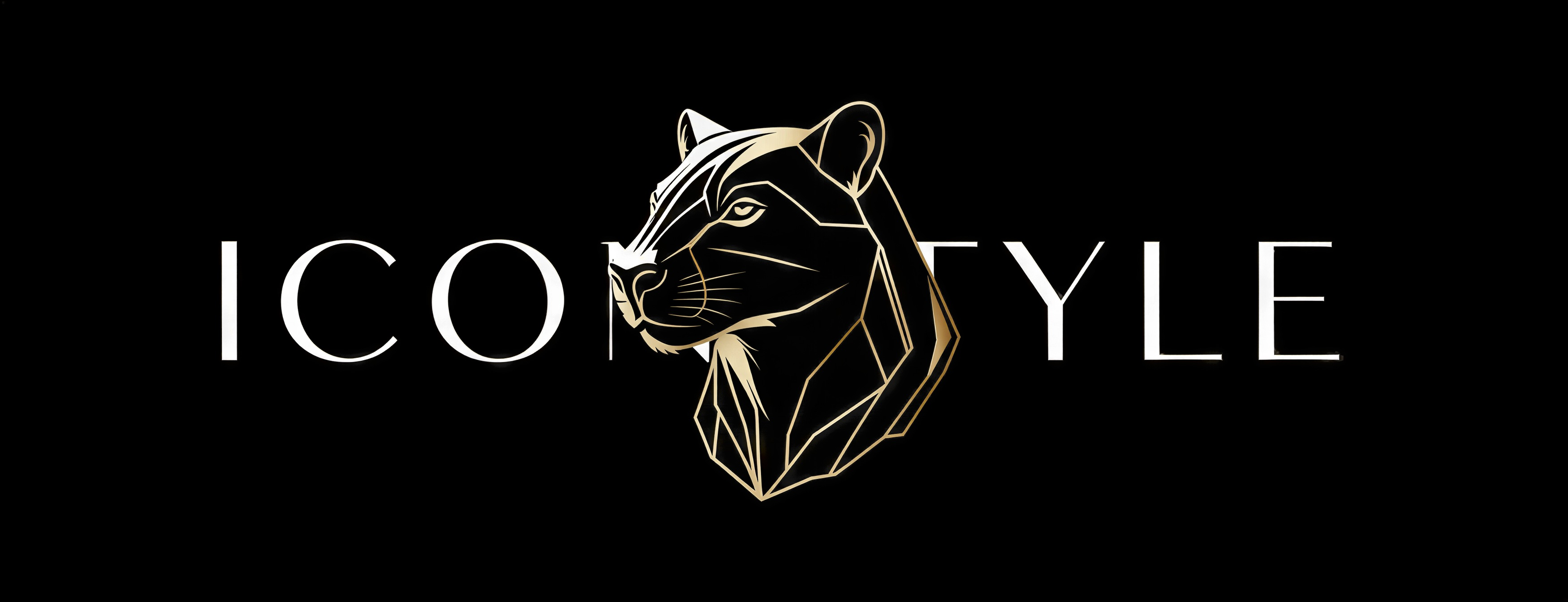 Главная шапка ООО «Икона Стиля»